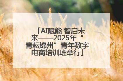 AI赋能 智启未来——2025年“青耘锦州”青年数字电商培训班举行
