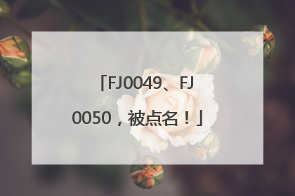 FJ0049、FJ0050，被点名！
